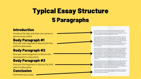 The paragraph is most likely which part of an expository essay, and how does it contribute to the overall structure of the essay?